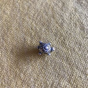 Retired Turtle Pandora Charm